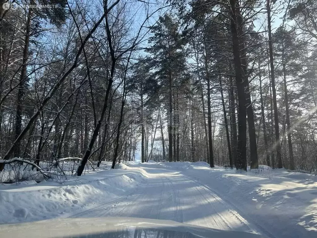 Участок в Толмачёвский сельсовет, деревня Алексеевка (10 м) - Фото 2