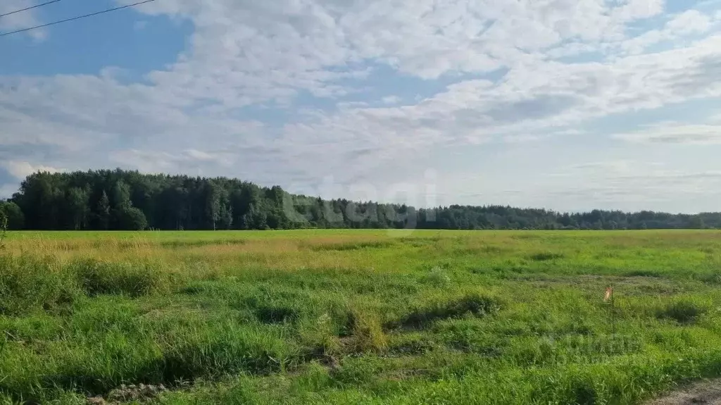 Участок в Санкт-Петербург пос. Левашово, Про Левашово кп,  (12.0 сот.) - Фото 1