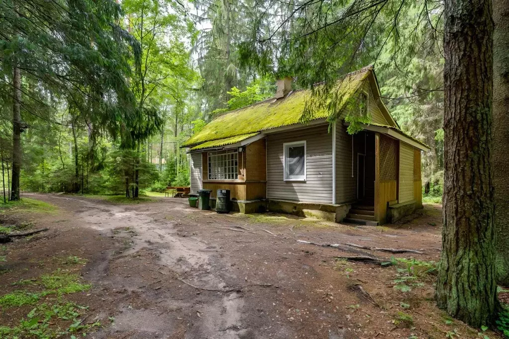 Дом в Ленинградская область, Лужский район, Толмачевское городское ... - Фото 1