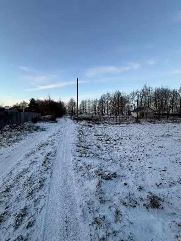 Участок в Псковская область, Псковский муниципальный округ, ... - Фото 2