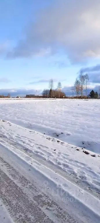 Участок в Пермский край, Добрянский городской округ, д. Залесная  (9.4 ... - Фото 1