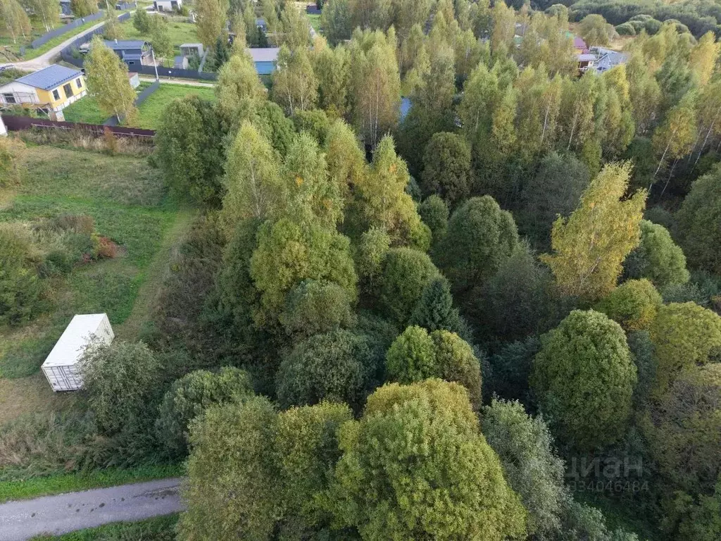 Участок в Московская область, Волоколамский муниципальный округ, д. ... - Фото 1