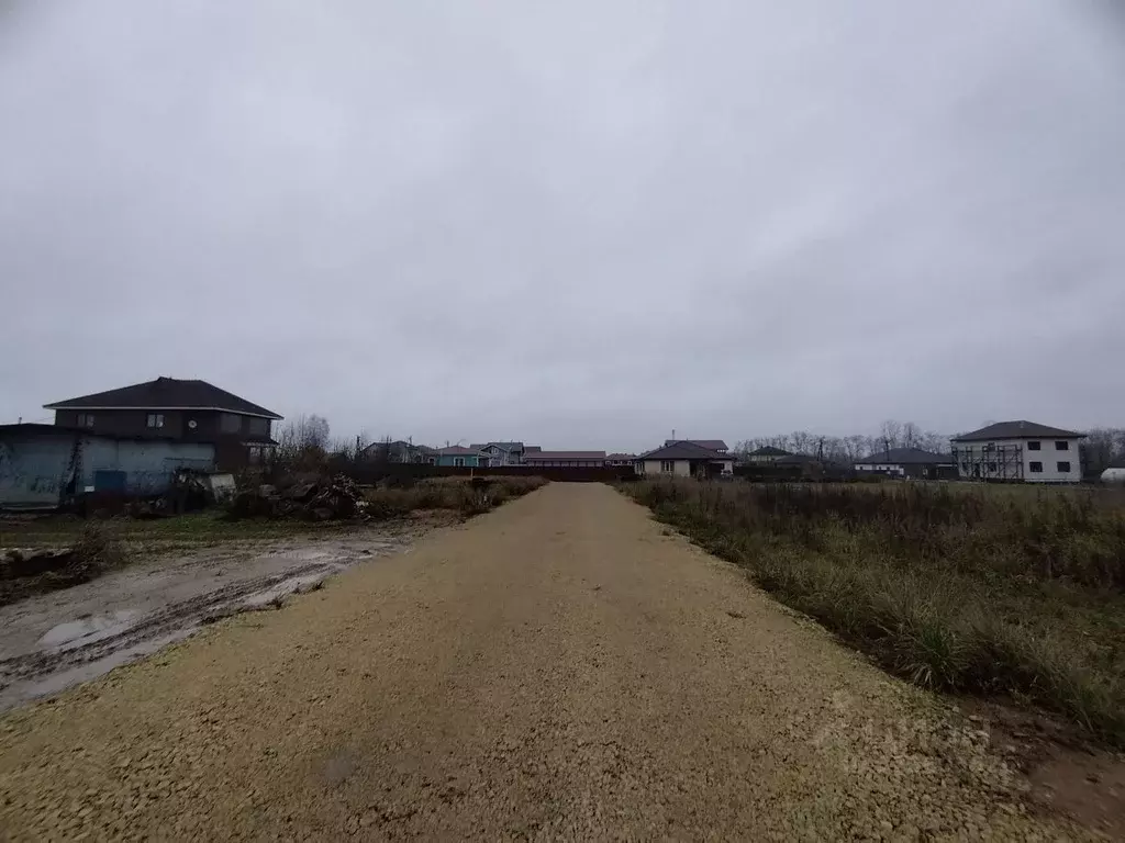 Участок в Ленинградская область, Гатчинский муниципальный округ, д. ... - Фото 2