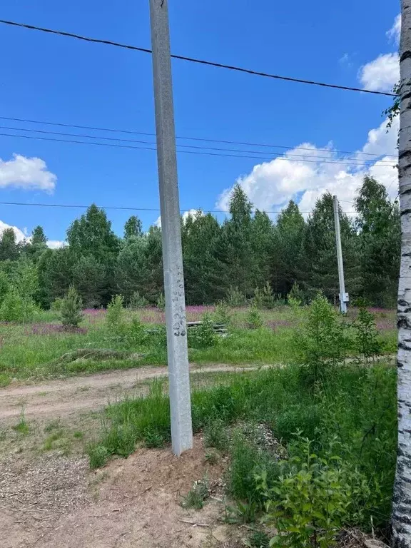 Участок в Новгородская область, Валдайский муниципальный округ, ... - Фото 2