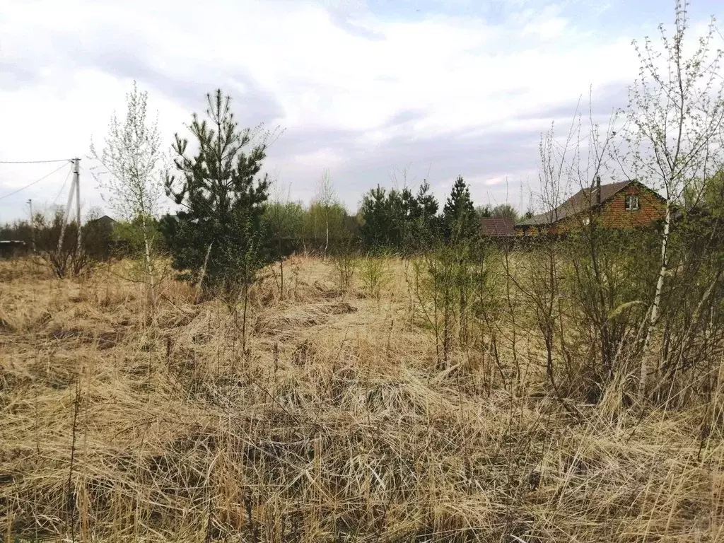 Участок в Нижегородская область, Богородский муниципальный округ, д. ... - Фото 1