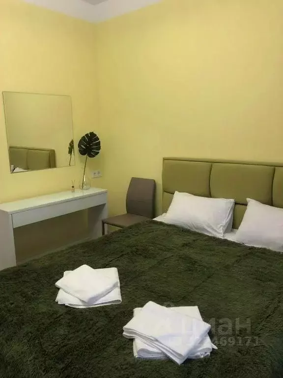 1-к кв. Краснодарский край, Сочи Светлана мкр,  (20.0 м) - Фото 1