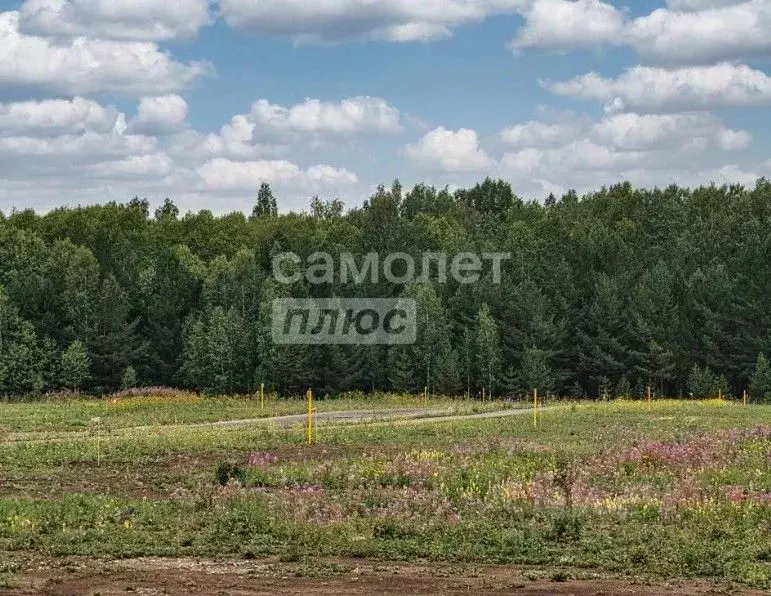 Участок в Башкортостан, Мелеузовский сельсовет, д. Тамьян ул. ... - Фото 1
