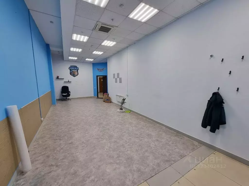 Офис в Красноярский край, Красноярск ул. Карла Маркса, 95к1 (39 м) - Фото 2