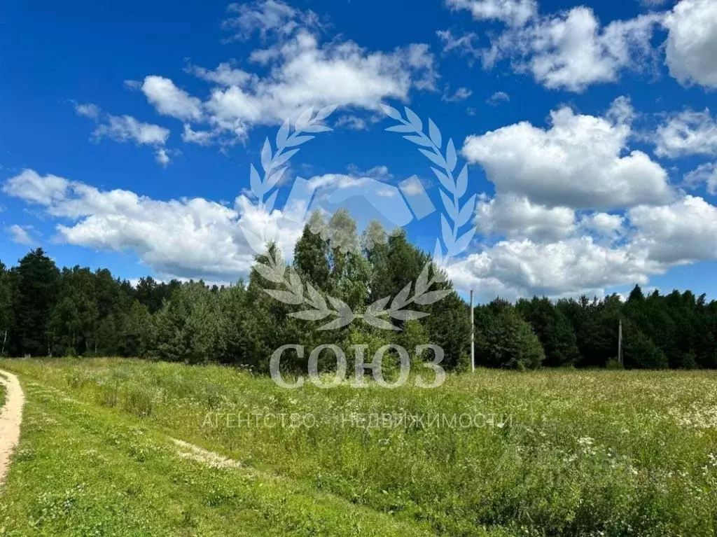 Участок в Калужская область, Малоярославецкий район, Детчино с/пос, д. ... - Фото 2