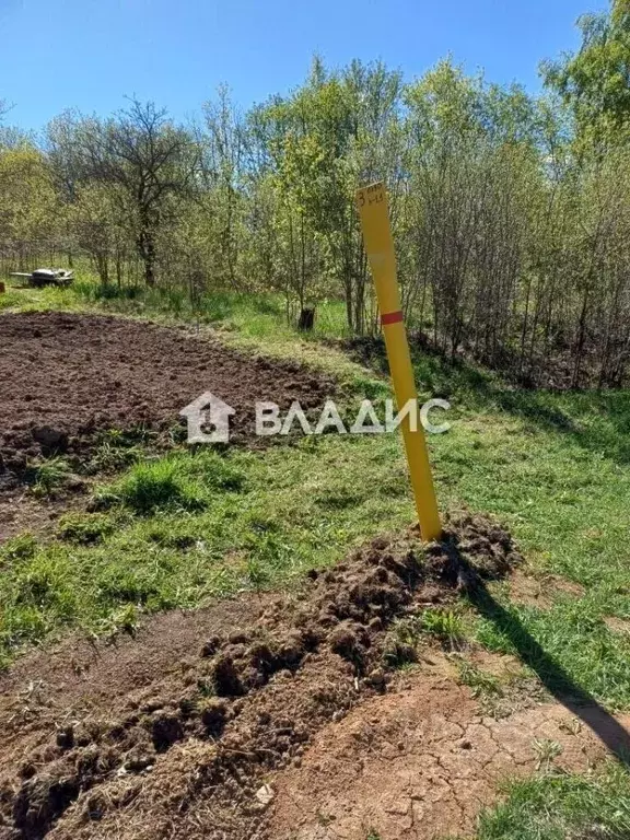 Участок в Владимирская область, Суздальский район, с. Новоалександрово ... - Фото 1