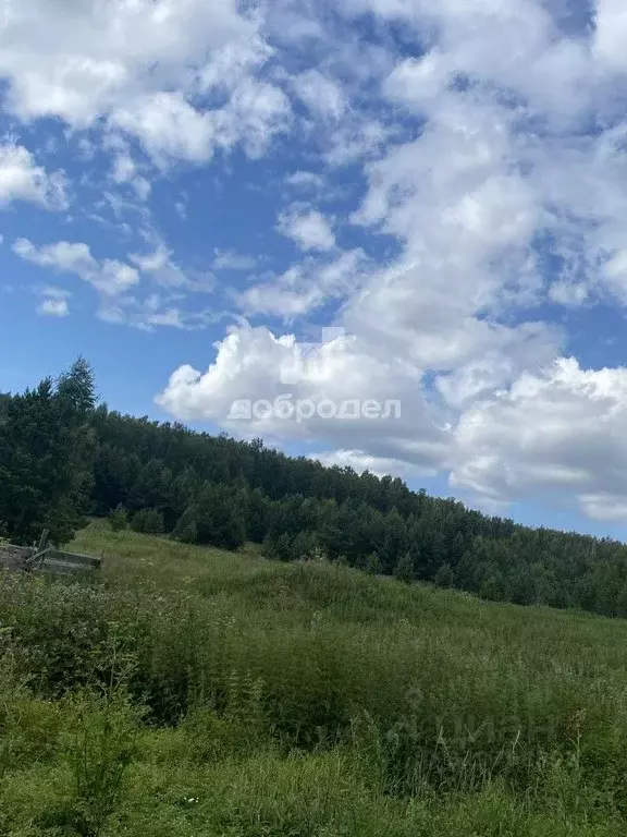 Участок в Свердловская область, Екатеринбург  (100.0 сот.) - Фото 2