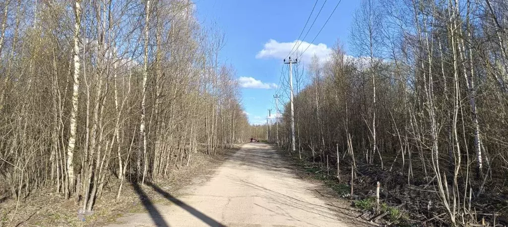 Участок в Московская область, Солнечногорск городской округ, Олимп мкр ... - Фото 1