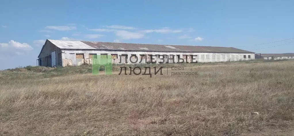 Помещение свободного назначения в Крым, Черноморский район, с. Красная ... - Фото 1