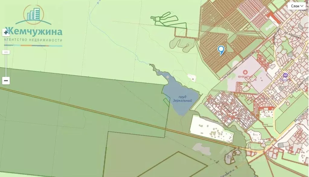 Участок в Ульяновская область, Димитровград ул. Курчатова (10.0 сот.) - Фото 1