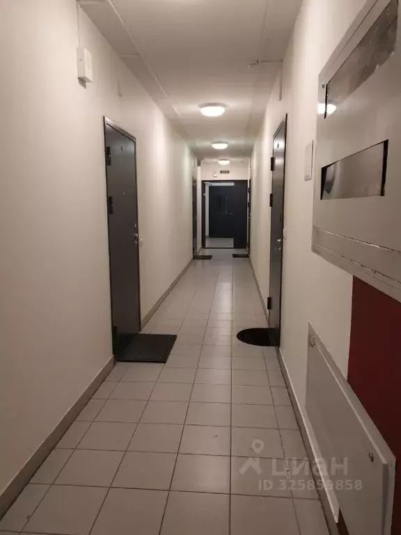 Студия Санкт-Петербург Мебельная ул., 49/92 (34.3 м) - Фото 2