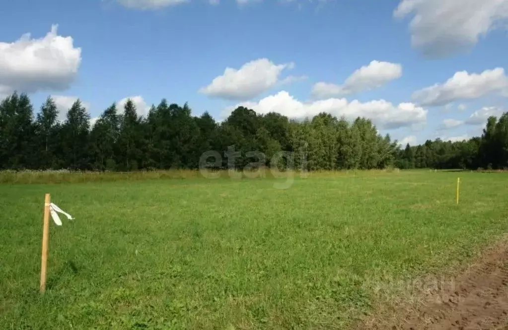 Участок в Красноярский край, Красноярск городской округ, пос. Элита, ... - Фото 1