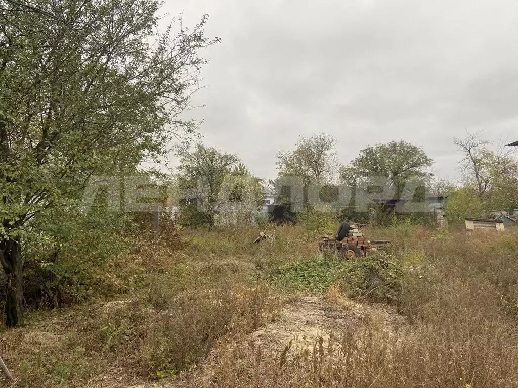 Участок в Ростовская область, Новочеркасск № 12 садовое товарищество, ... - Фото 1