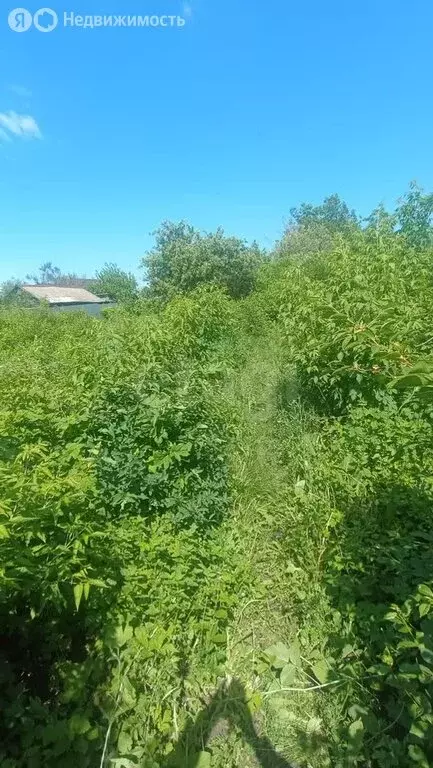 Участок в Балашов, Цветочная улица (10 м) - Фото 0