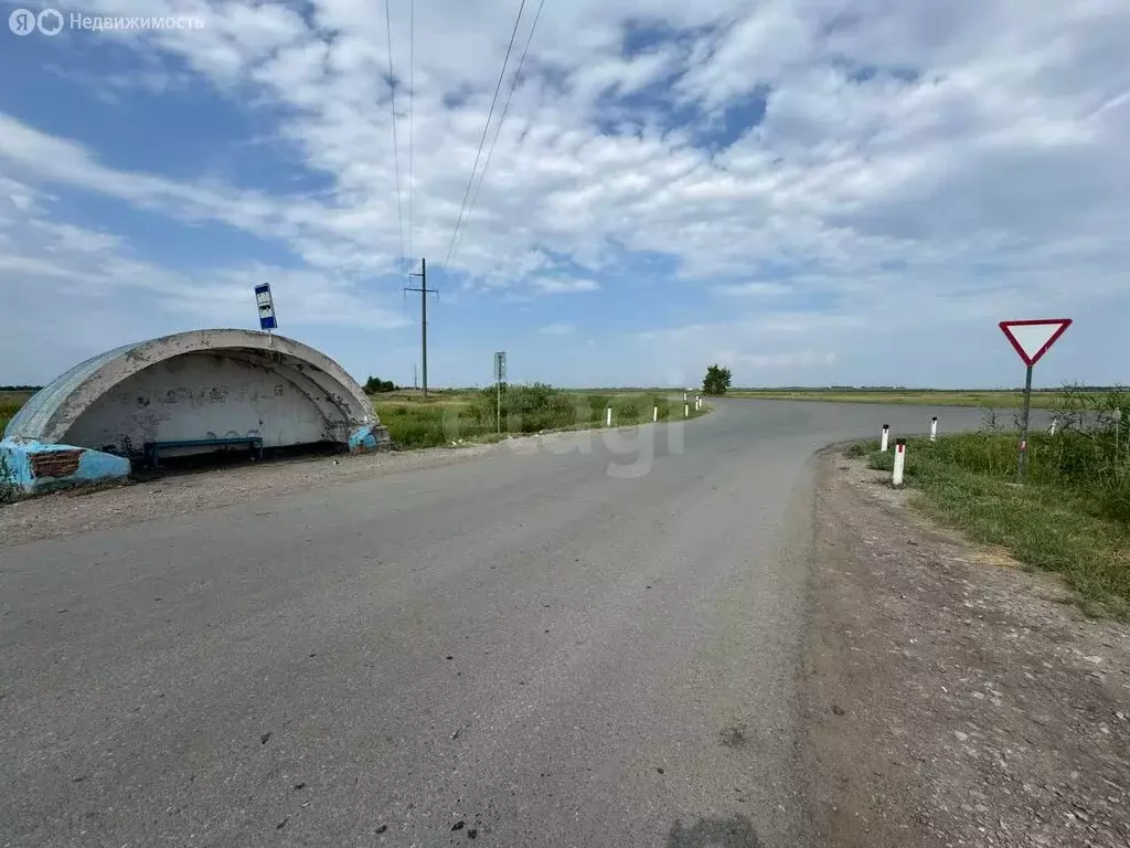 Участок в Омск (20000 м) - Фото 0