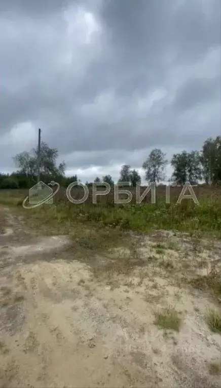 Участок в Тюменская область, Тюмень Царево садовое товарищество, ул. ... - Фото 0