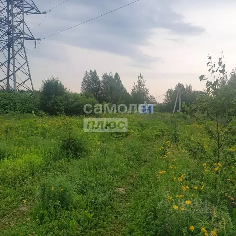 помещение свободного назначения в московская область, химки городской . - Фото 0