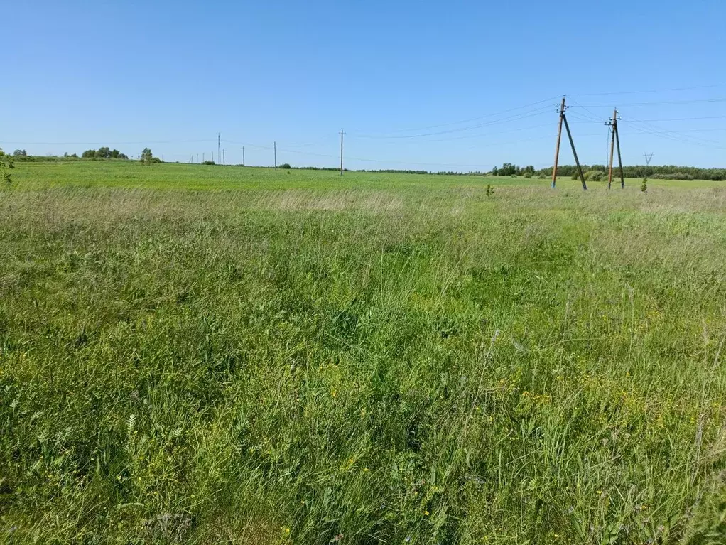 Участок в Московская область, Воскресенск городской округ, д. Пушкино  ... - Фото 0