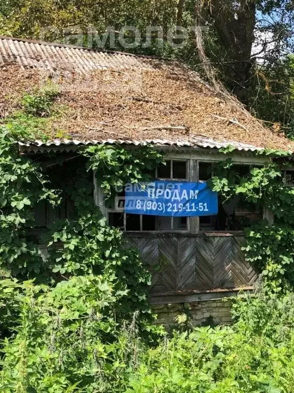 Участок в Московская область, Луховицы городской округ, д. Выкопанка ... - Фото 0