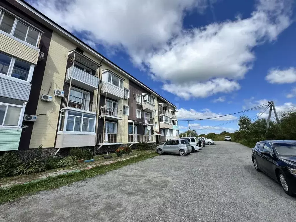 2-к кв. Хабаровский край, Хабаровский район, с. Некрасовка Солнечная ... - Фото 1