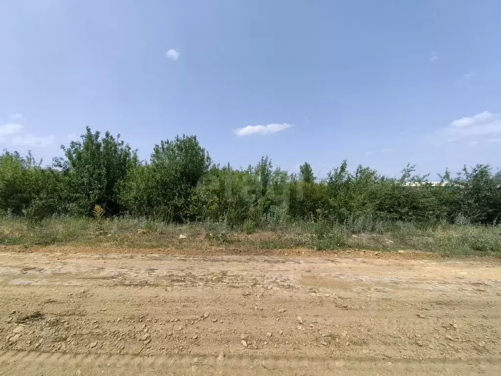 Участок в Ростовская область, Родионово-Несветайский район, ... - Фото 1