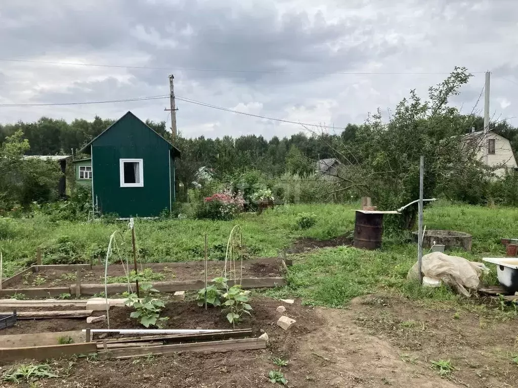 Дом в Костромская область, Кострома Майский СНТ,  (10 м) - Фото 0