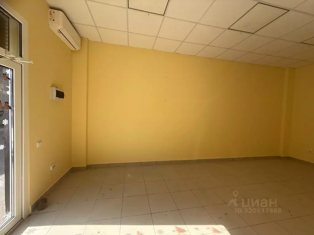 Торговая площадь в Краснодарский край, Сочи ул. Гагарина, 62 (31 м) - Фото 1