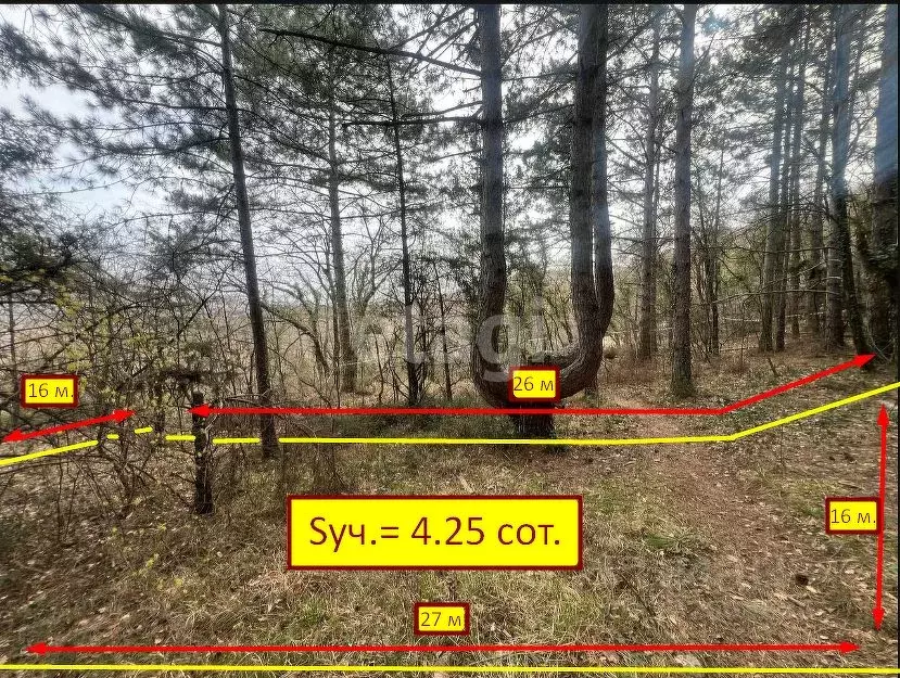 Участок в Крым, Ялта ул. Дарсановская (4.0 сот.) - Фото 1