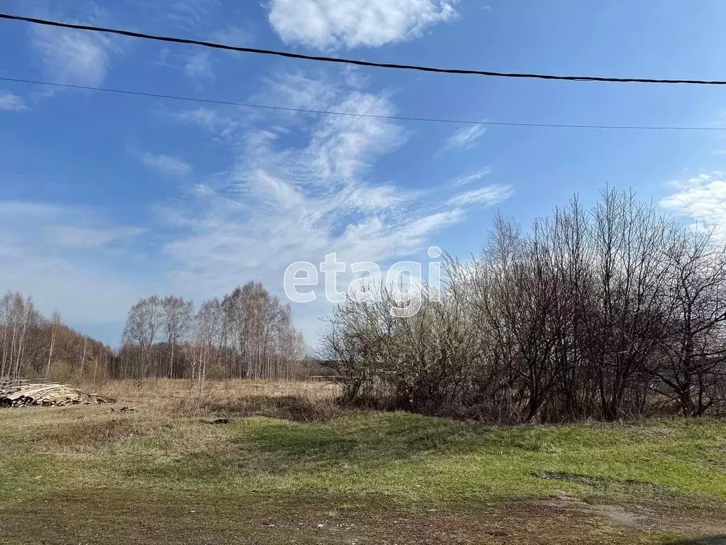 Участок в Свердловская область, Тугулымский городской округ, с. Яр ул. ... - Фото 0