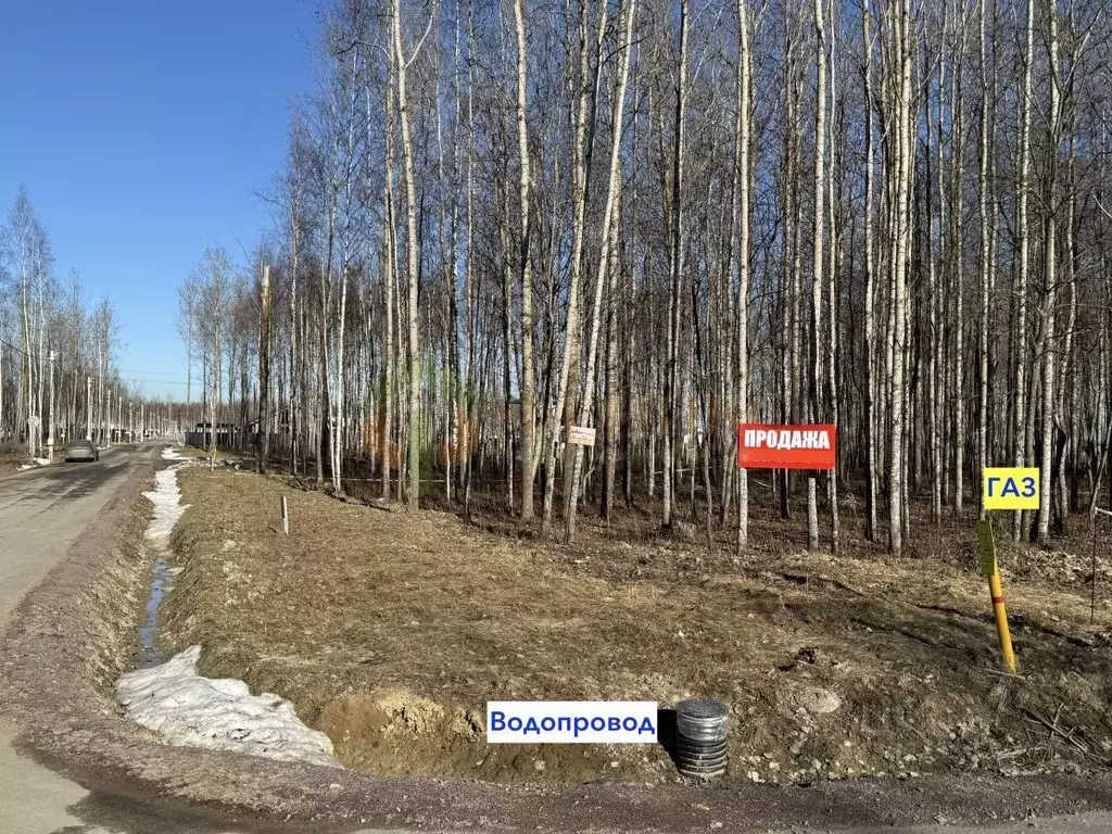 Участок в Санкт-Петербург, Санкт-Петербург, Павловск Павлов Скай кп,  ... - Фото 2