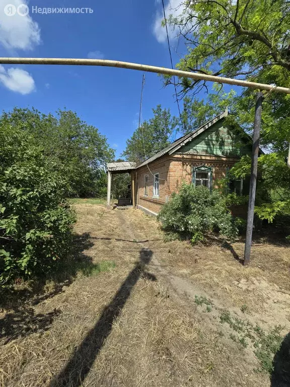 Дом в Аксайский район, станица Грушевская (30 м) - Фото 1