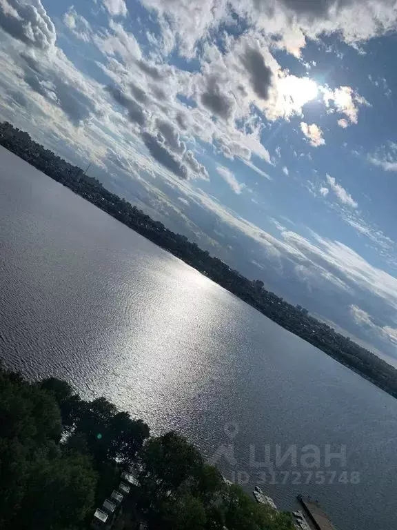 2-к кв. Воронежская область, Воронеж ул. Переверткина, 1/6 (80.0 м) - Фото 1