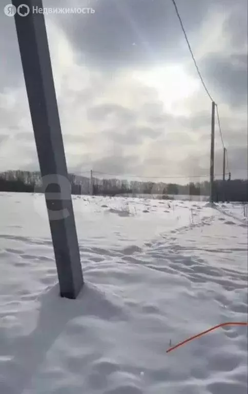 Участок в Лямбирский район, Берсеневское сельское поселение, село ... - Фото 1