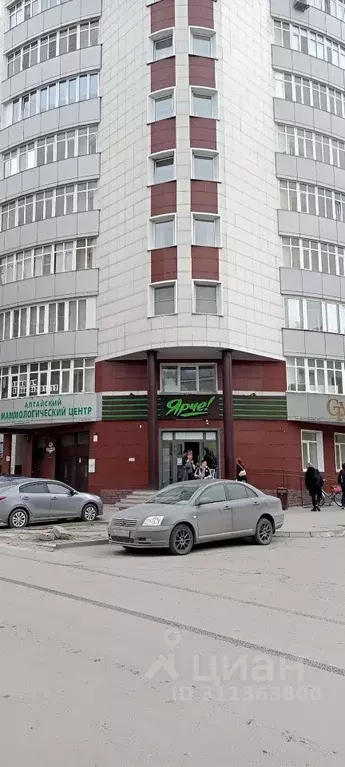 Офис в Алтайский край, Барнаул ул. Димитрова, 67А (67 м) - Фото 1