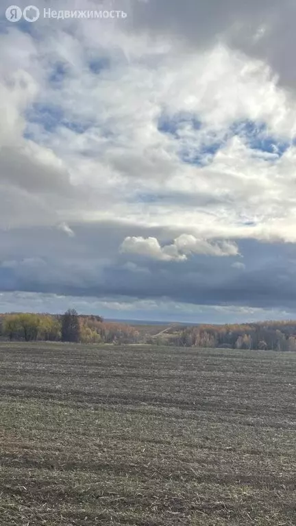 Участок в Тульская область, городской округ Алексин, деревня Деево (30 ... - Фото 2