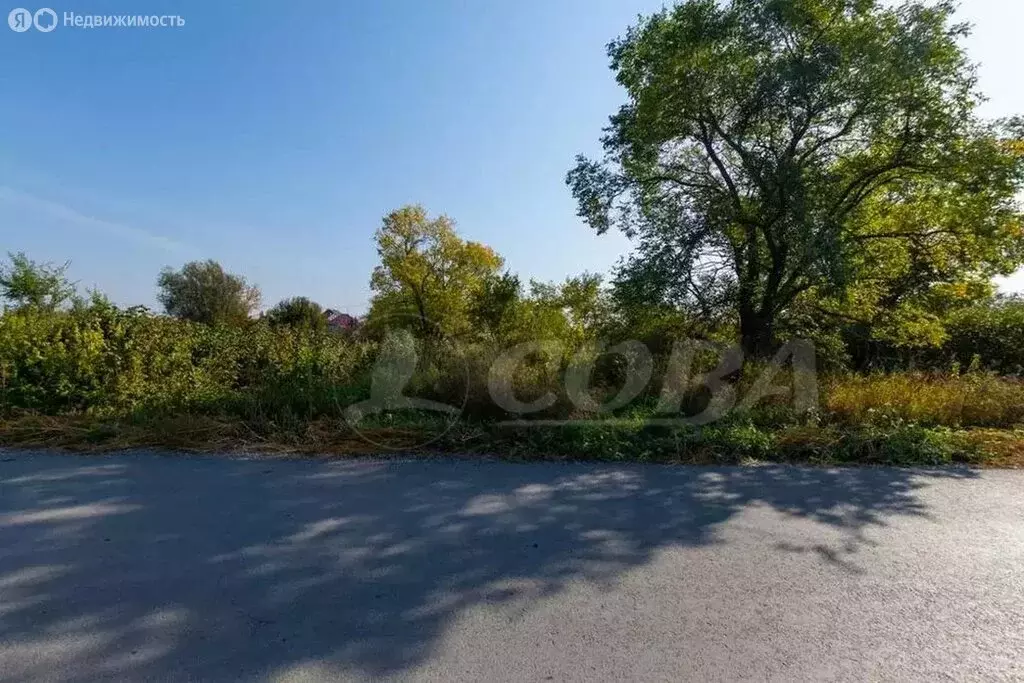 Участок в Тюменский муниципальный округ, село Борки (6.3 м) - Фото 2