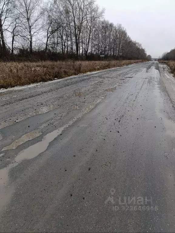 Участок в Свердловская область, Нижнесергинский район, Дружининское ... - Фото 2