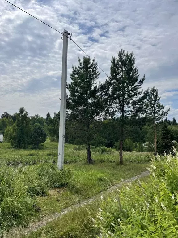 Участок в Томская область, Томский район, Осень ДНТ 108 (6.0 сот.) - Фото 1