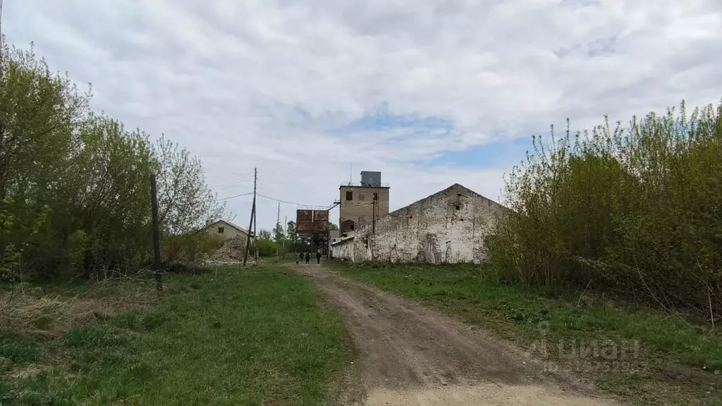 Помещение свободного назначения в Алтайский край, Косихинский район, ... - Фото 1