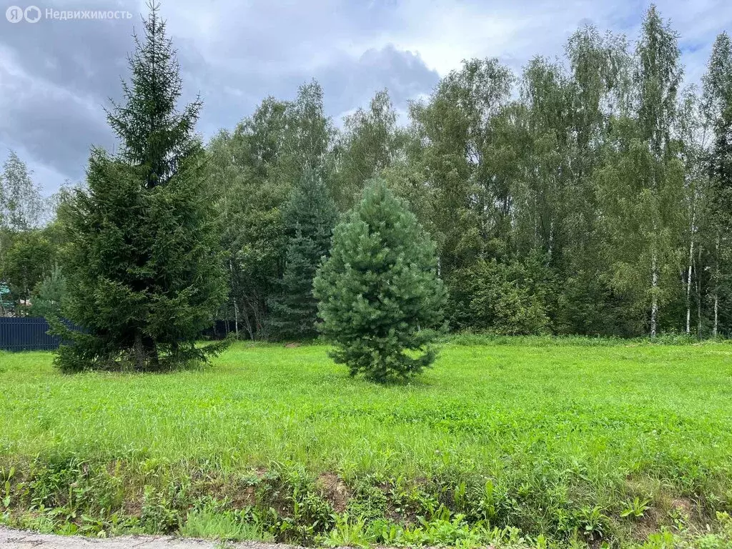 Участок в Московская область, городской округ Ступино, деревня ... - Фото 1