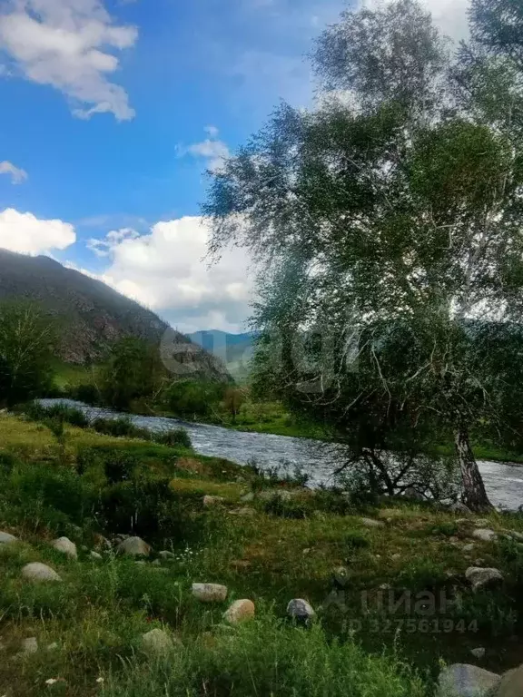 Участок в Алтай, Онгудайский район, Хабаровское с/пос, с. Улита  ... - Фото 1