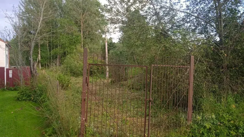 Участок в Тверская область, Конаковский муниципальный округ, д. ... - Фото 1