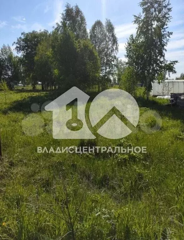 Участок 23,9 сот. (личное подсобное хозяйство (лпх)) - Фото 0