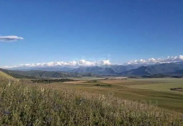 Участок в Алтай, Усть-Коксинский район, пос. Полеводка  (16.0 сот.) - Фото 2