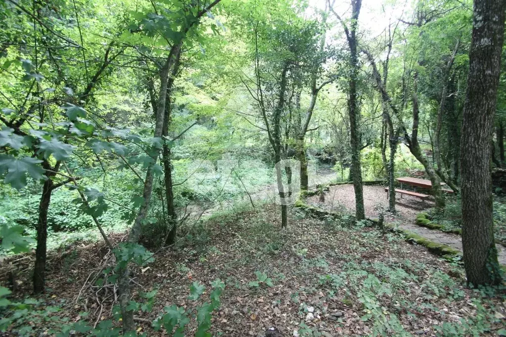 Дом в Краснодарский край, Геленджик городской округ, Бетта СТ  (71 м) - Фото 1