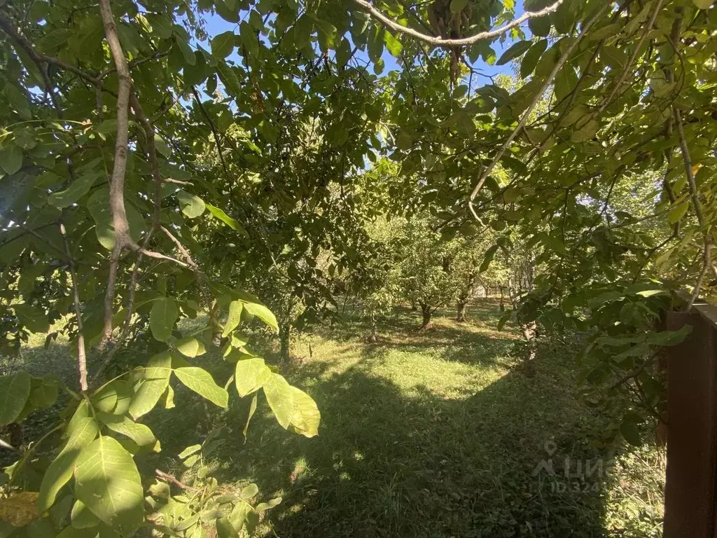 Участок в Краснодарский край, Армавир городской округ, пос. Заветный ... - Фото 2